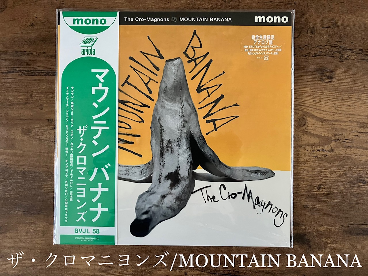 MOUNTAIN BANANA クロマニヨンズ　アナログ　レコード　LP
